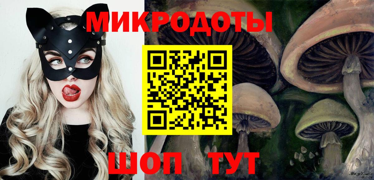 Псилоцибиновые грибы GOLDEN TEACHER Калининград